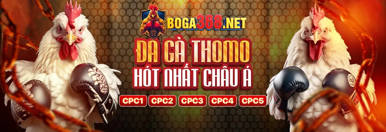 Mẹo Cá Cược SV388 Chính Thức